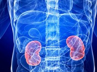 Nefrologia